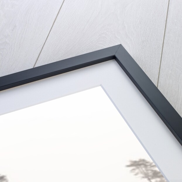 Snowy forest in winter by Assaf Frank